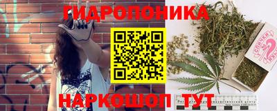 ALPHA PVP Кунгур