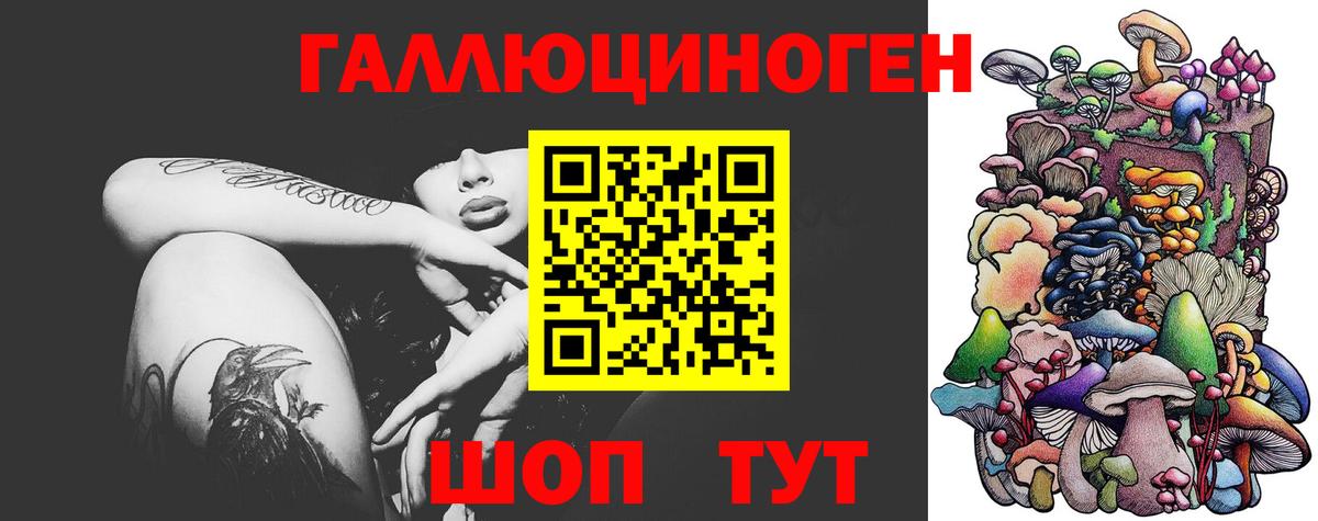Галлюциногенные грибы Cubensis Вязники